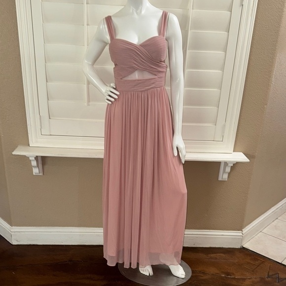 Birdy Grey Elsye Dress Mesh Dusty Rose - Picture 1 of 12